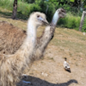 Meet your Posher, Cheryl